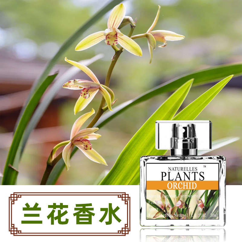 兰花香水正品女士持久淡香清新自然兰花香味的香水野兰花小众香水