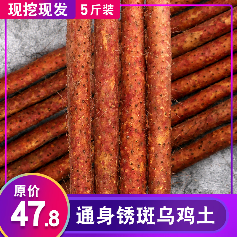 温县紫红皮乌鸡土铁棍山药5斤河南焦作怀淮山新鲜铁杆铁桂棒正宗
