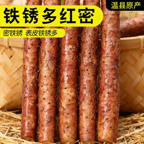 密集铁锈铁棍山药实惠装根根甄选