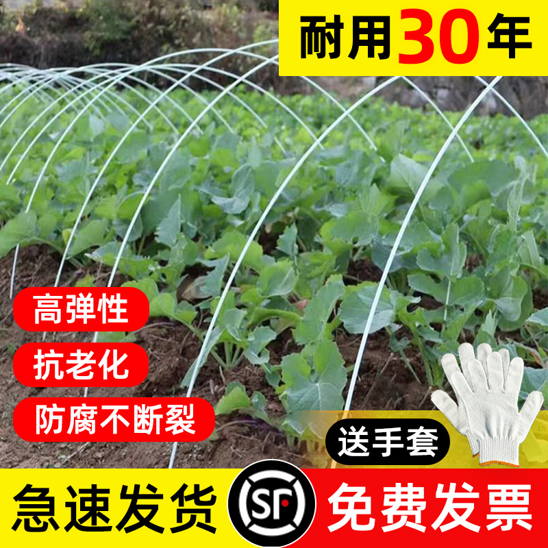 大棚骨架菜棚育苗保温棚花棚新型小拱棚支架玻璃钢纤维杆温室农用