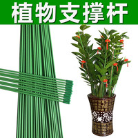 蝴蝶兰支架花架植物支撑杆