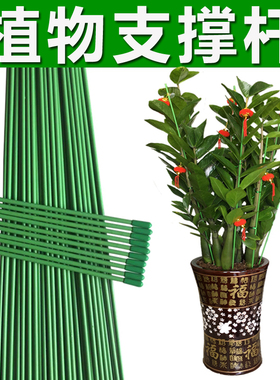 金钱树支撑杆兰花绿植固定杆支架花卉花架花盆植物防倒插杆固定器