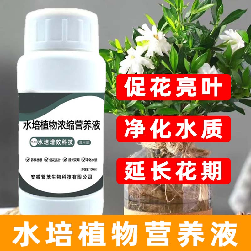 水培营养液多肉发财树家用水溶肥
