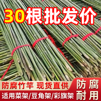 竹竿防腐結(jié)實(shí)均勻菜園搭架竹竿