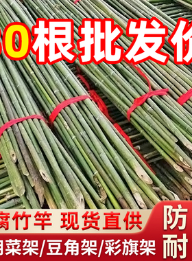 竹竿菜园搭架花园蔬菜架竹杆围栏户外毛竹篱笆防腐耐用彩旗杆竹棍