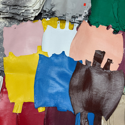 进口hcp蜥蜴纹皮料D家原版钱包皮料原花手账本西西皮革背皮肚皮