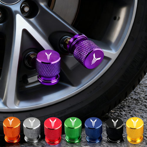 适用岚图汽车轮胎气门嘴帽岚图FREE追光梦想家防盗气门芯帽保护盖