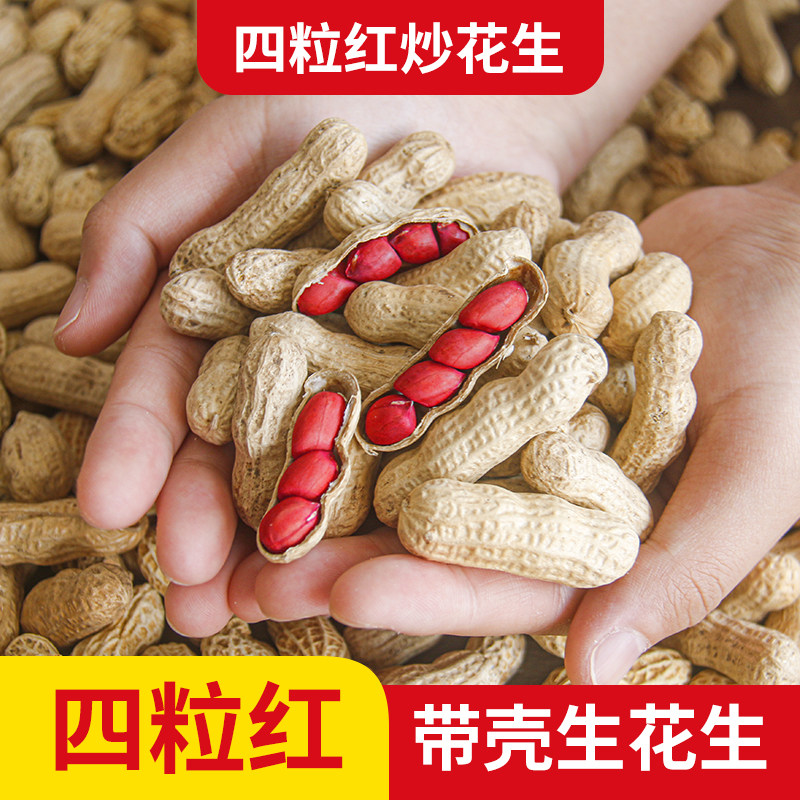 新货四粒红生花生带壳晒干正宗福建龙岩闽西特产新鲜炒熟原味红皮
