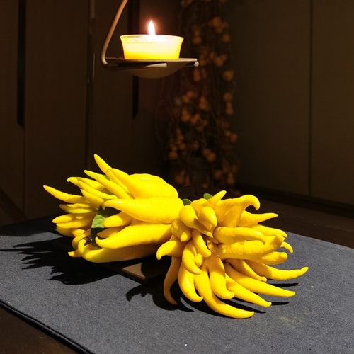 【金佛手】现摘现发金华佛手果新鲜佛手柑金佛手瓜闻香清供摆盘