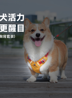 它愿狗狗牵引绳胸背带反光带中型犬柯基柴犬公园遛狗绳小狗牵狗绳