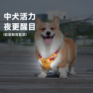它愿狗狗牵引绳胸背带反光带中型犬柯基柴犬公园遛狗绳小狗牵狗绳