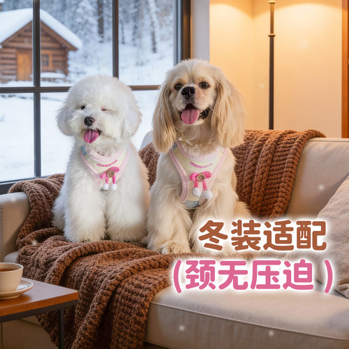 它愿小型犬牵引绳胸背冬季超舒服