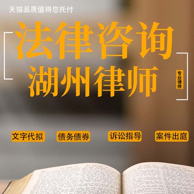 法律咨询湖州律师经济债务纠纷起诉状合同代写协议书律师函