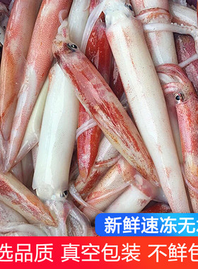 大鱿鱼鲜活冷冻海鲜水产大管食材