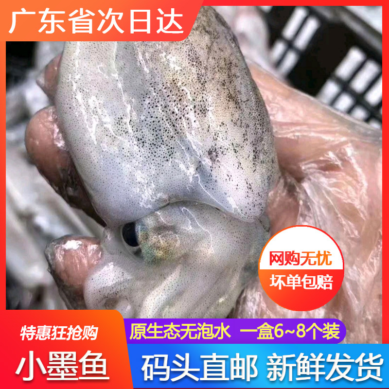 新鲜小墨斗鱼速冻冷海鲜水产