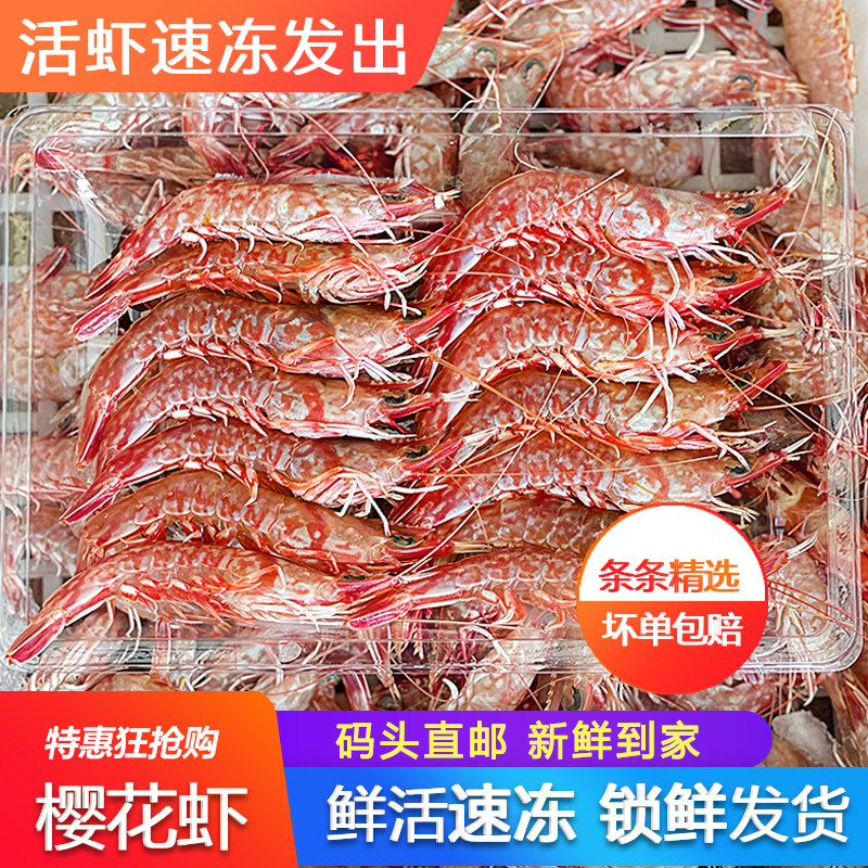 樱花虾新鲜活冻速冻海鲜水产刺身非鸡冠虾红甜虾基围虾广东