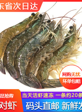 基围大对虾鲜活超大特大南美鲜白虾冷冻速冻新鲜水产深海虾火锅