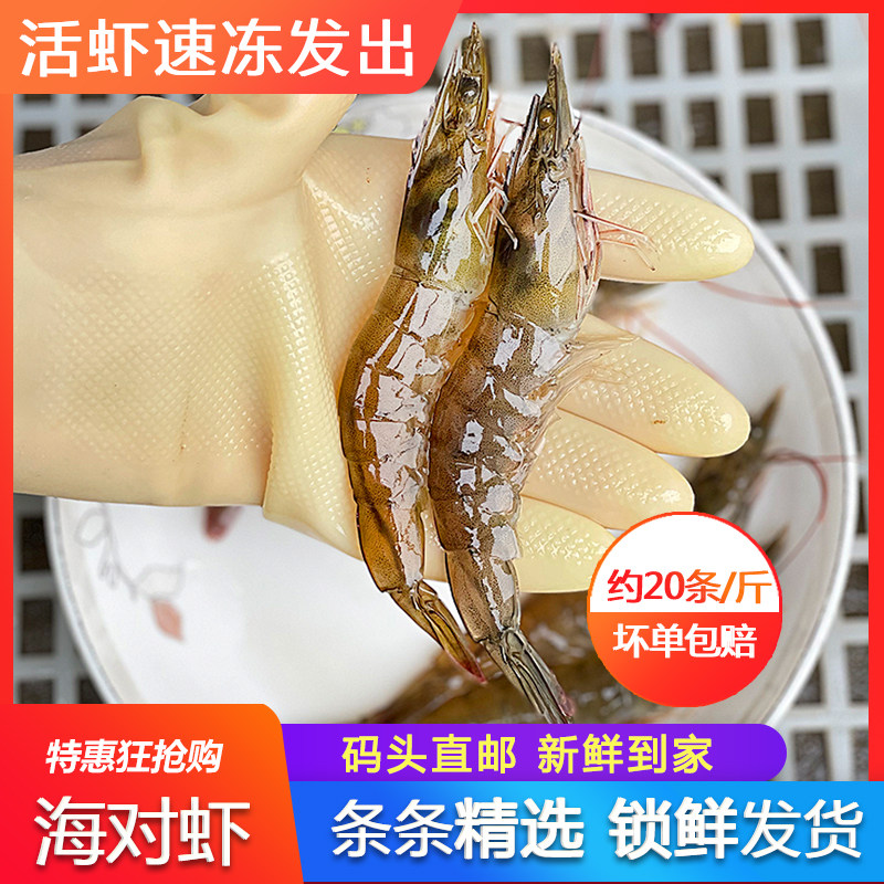 基围大对虾鲜活超大特大