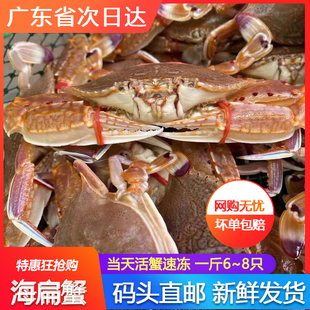 野生扁蟹肉蟹煲鲜活水产当天海捕冷冻新鲜红公螃蟹青蟹梭子蟹广东