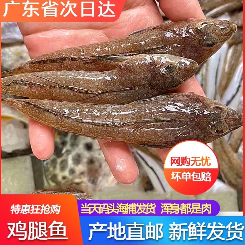 潮汕鸡腿海鱼新鲜冷冻海捕红衫鱼三线鱼小石斑鱼深海海鲜水产500g