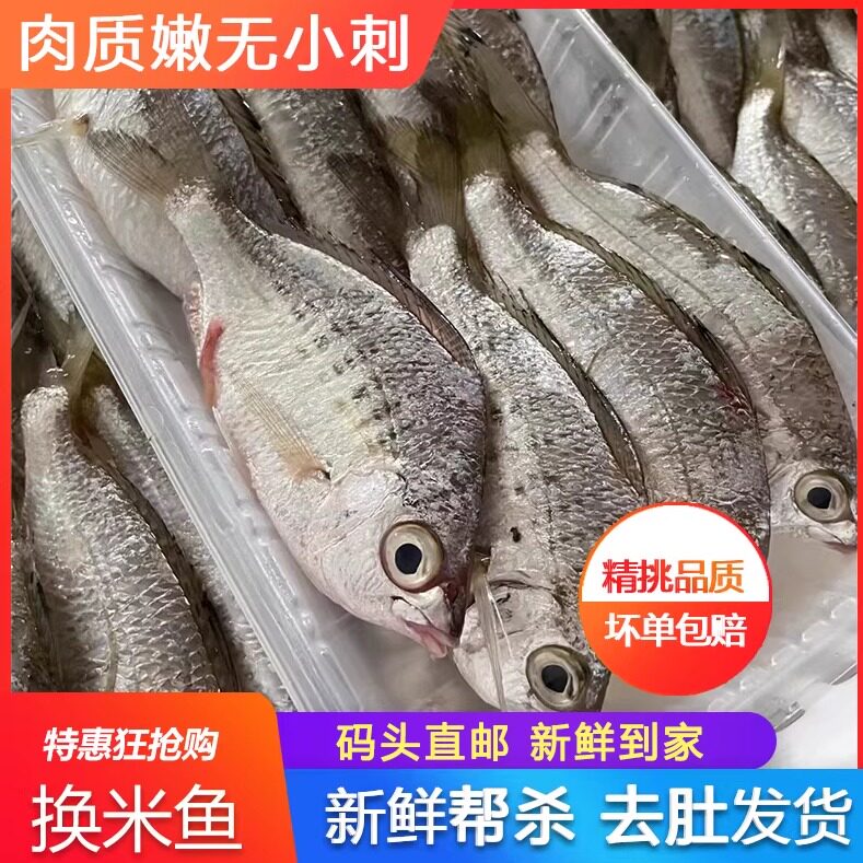 潮汕海鱼换米鱼新鲜活冷冻海鲜水产速冻海鲜水产酒店高档广东发货