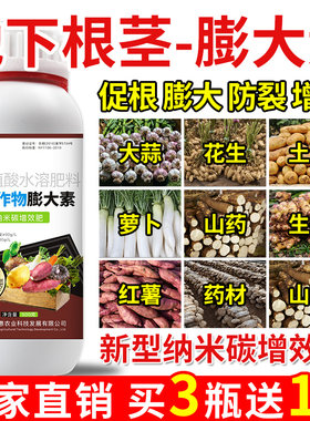 地下根茎膨大素地下猛长