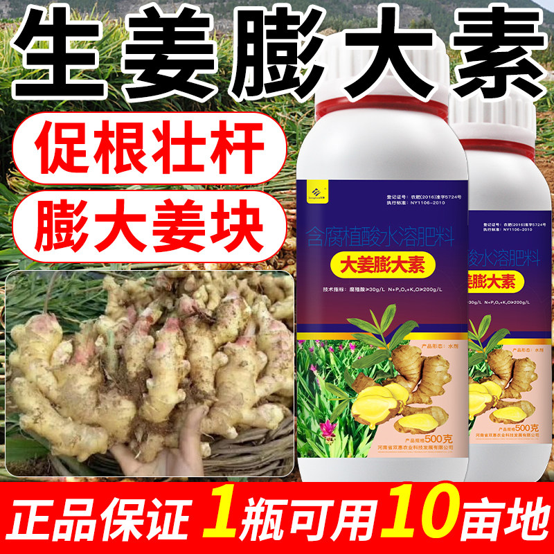 生姜膨大素大姜专用肥叶面肥大姜农业生产肥料