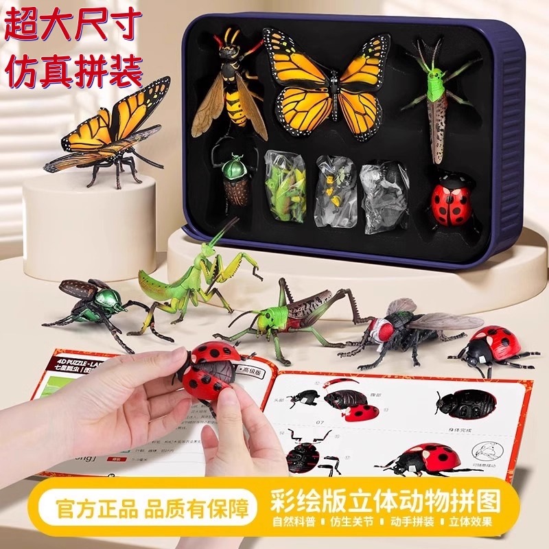 2025新款儿童昆虫玩具益智仿真4d拼装动物模型蝴蝶蜜蜂螳螂早教男