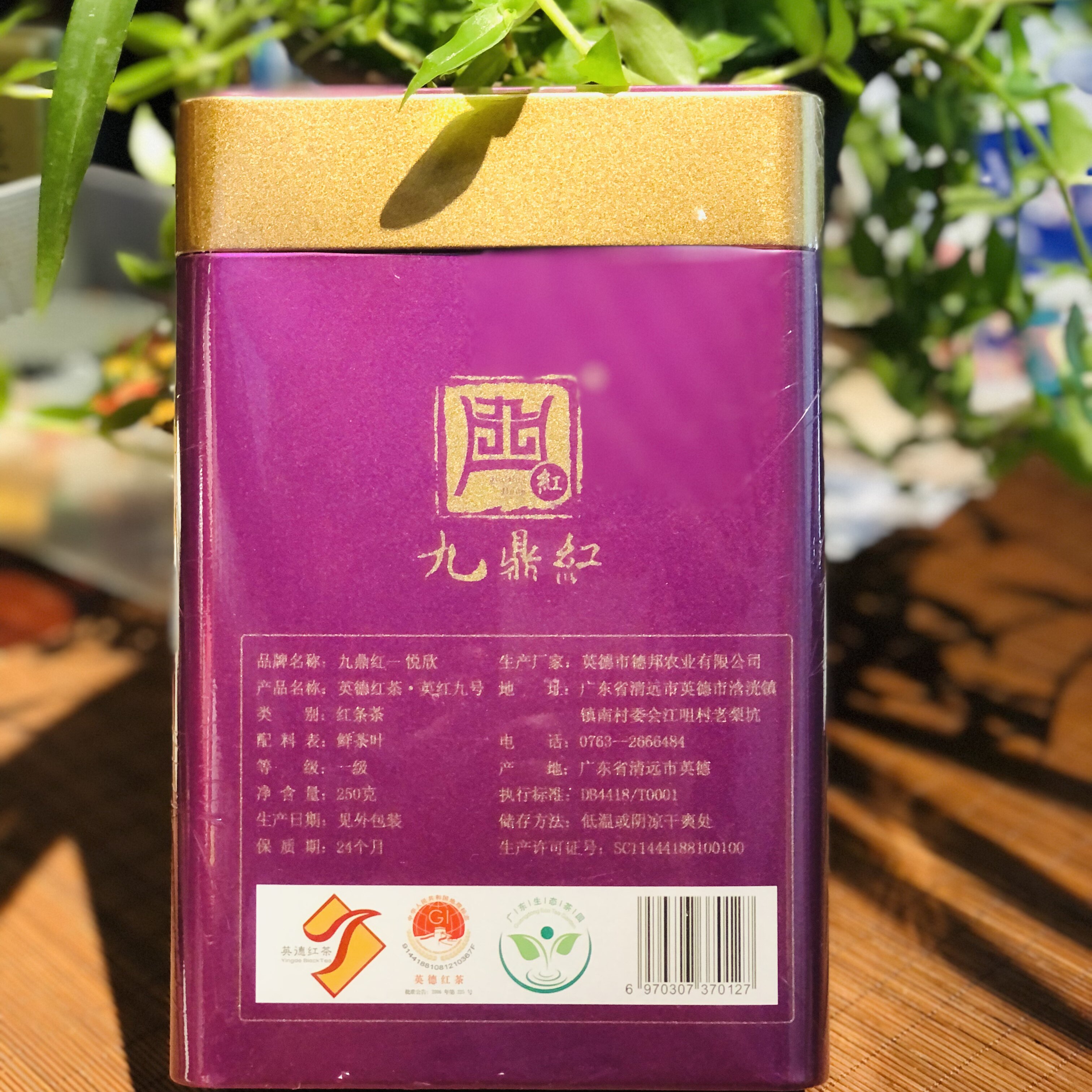 英德红茶英红九号九鼎红悦欣茶礼一级250克罐装包邮广东特产生态
