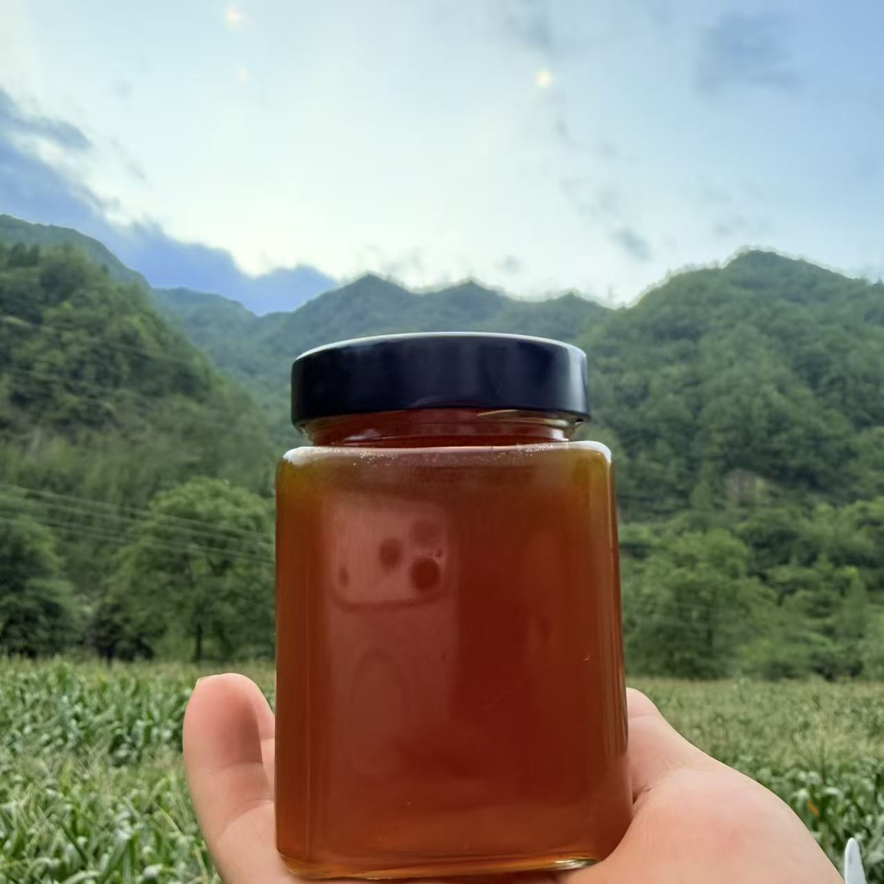 秦巴土蜂蜜纯正野生蜜源木桶无添加不喂糖孕妇儿童深山百花蜜500g