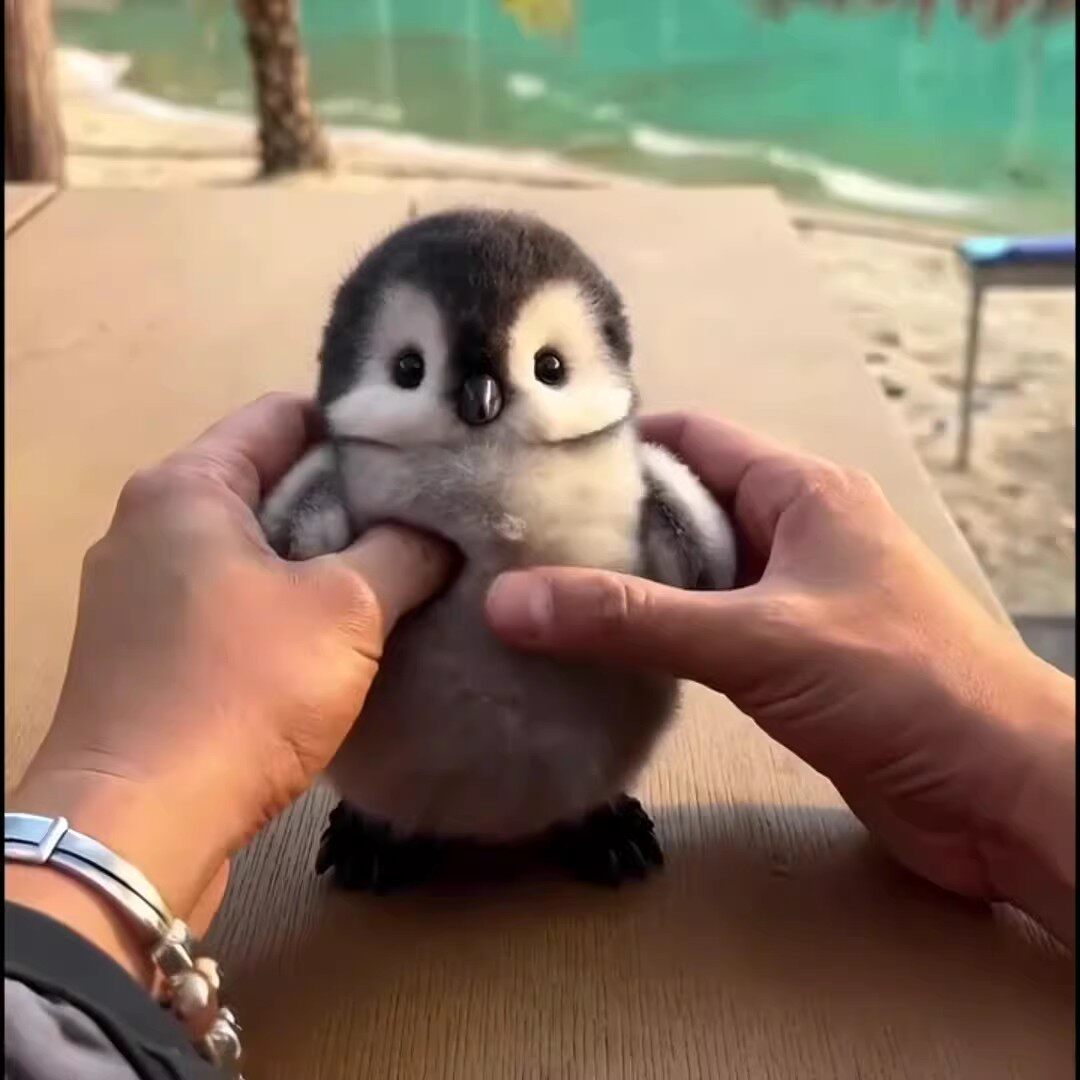 可爱企鹅毛绒玩具仿真小企鹅公仔抱枕玩偶布娃娃儿童