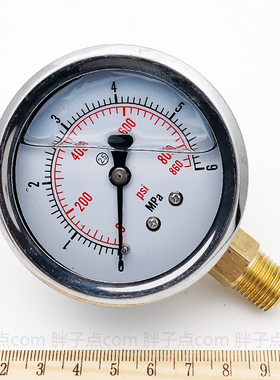 径向油表YN-60防震压力表0-6MPa液压表860psi气压表2分螺纹ZG1/4