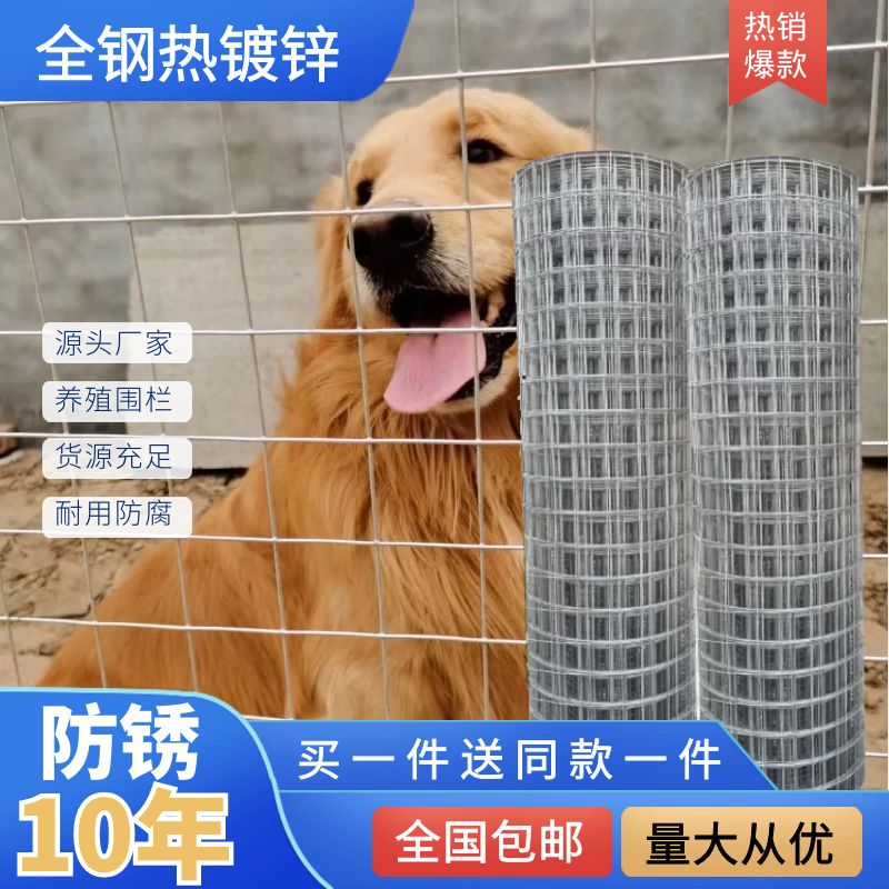 热镀锌铁丝网围栏钢网格养鸡狗笼电焊网荷兰网不锈养殖网护栏网
