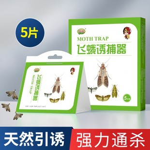 无虫*吉越 5张/盒 飞蛾诱捕器 天然引诱粘性强 诱捕多种飞蛾 螟蛾