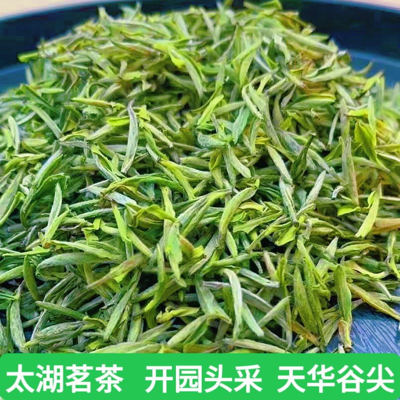 2025年新茶天华谷尖安徽安庆太湖县春茶明前头采清香回甜头采嫩芽