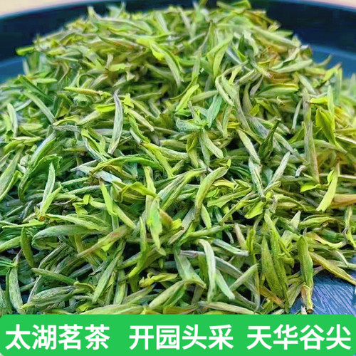 2026年新茶天华谷尖安徽安庆太湖县春茶明前头采清香回甜头采嫩芽