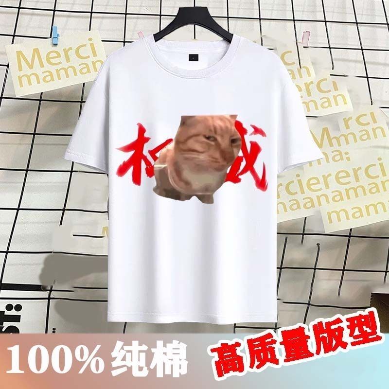 权威拳头夏季小猫表情谁
