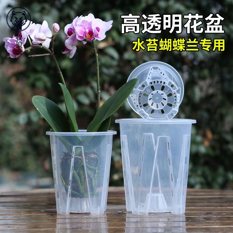 超透明简约风格蝴蝶兰专用花盆