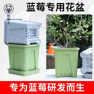 牧狼人蓝莓专用花盆大号塑料树脂阳台庭院方形果树月季草莓种植盆