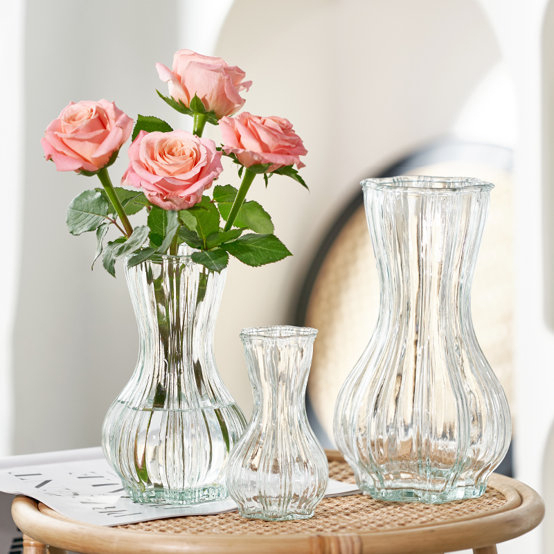 网红高级感花瓶玻璃透明摆件客厅插花ins风轻奢水养玫瑰百合鲜花