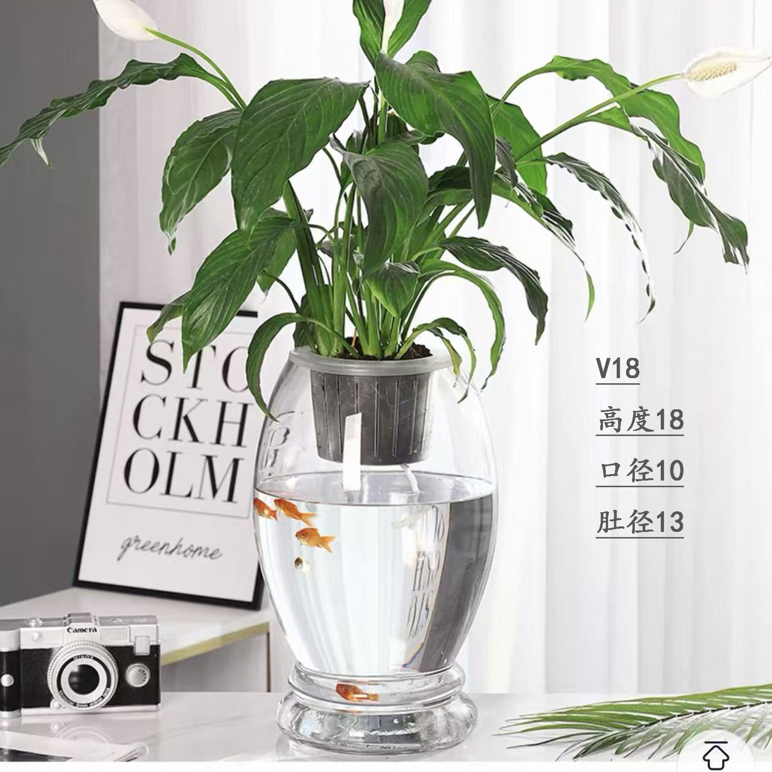 水培植物定制篮玻璃透明鱼缸花瓶发财树绿萝水养容器花盆圆球鱼缸图片