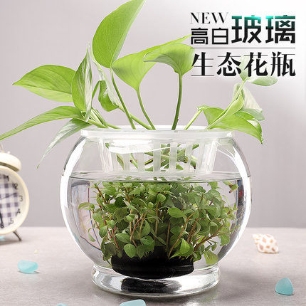 小鱼缸客厅桌面玻璃鱼缸水族箱小型龟缸家用乌龟缸圆形过滤金鱼缸