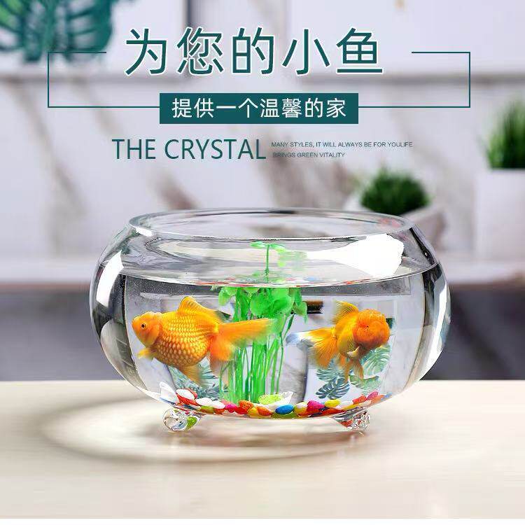 玻璃圆形加厚水培金鱼缸带脚桌面小型迷你乌龟缸圆球水培植物鱼缸
