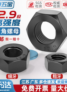 12.9级高强度黑色螺母 螺丝帽细牙螺帽M6M8M10M12M14M16M20M27mm