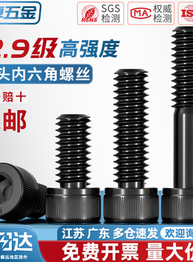 M18M20M22M24M27M30M36 12.9级内六角螺丝黑色杯头螺栓圆柱头螺钉