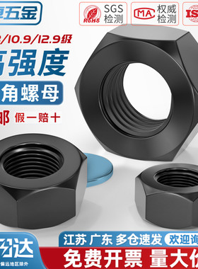 高强度8.8级10.9级12.9级六角螺母 螺丝帽 M6M8M10M12M16M20M24mm