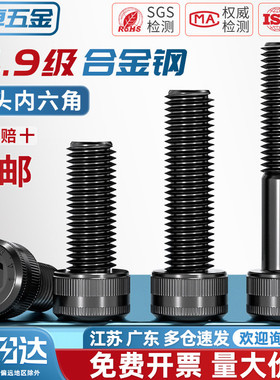 14.9级高强度内六角螺丝螺栓合金钢黑色加长螺钉M6M8M10M12M14M16