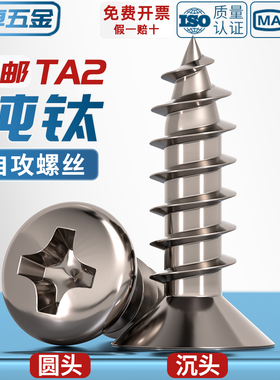 国标TA2纯钛盘头伞头沉头大扁头平头圆头十字自攻螺丝钉M3M4M5mm