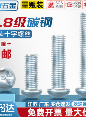 碳钢4.8级镀锌十字槽铁盘头螺钉大/圆头螺丝MM3M4M5M6M8 GB818-85