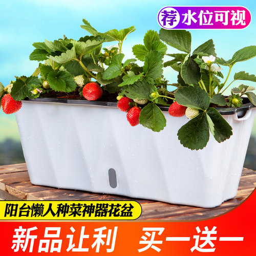 懒人自吸水阳台种植套餐种菜神器